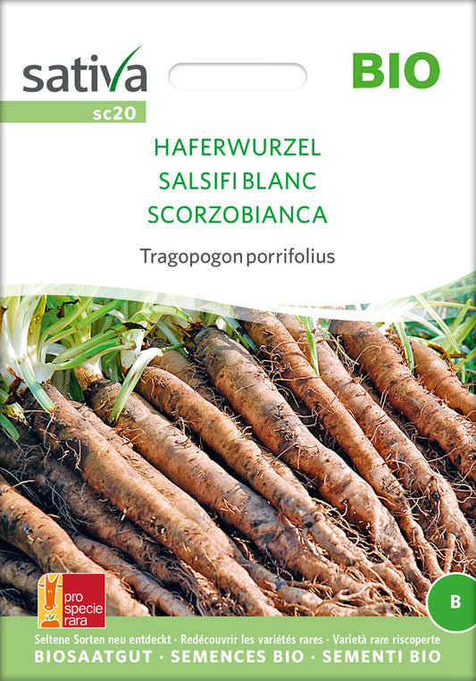Artikelbild 1 von "BIO Tragopogon porrifolius Haferwurzel" aus der Kategorie Gemüsesamen