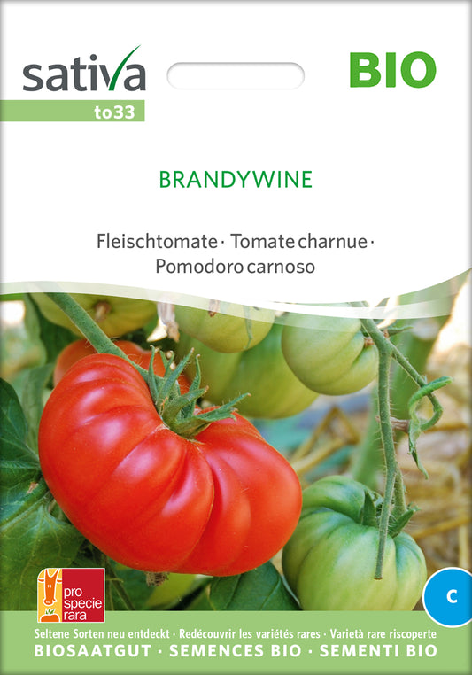 Artikelbild 1 von "BIO Fleischtomate Brandywine" aus der Kategorie Fleischtomatensamen