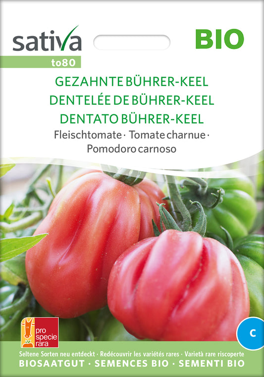 Artikelbild 1 von "BIO Fleischtomate Gezahnte Bührer-Keel" aus der Kategorie Fleischtomatensamen