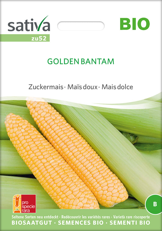 Artikelbild 1 von "BIO Zuckermais Golden Bantam" aus der Kategorie Maissamen