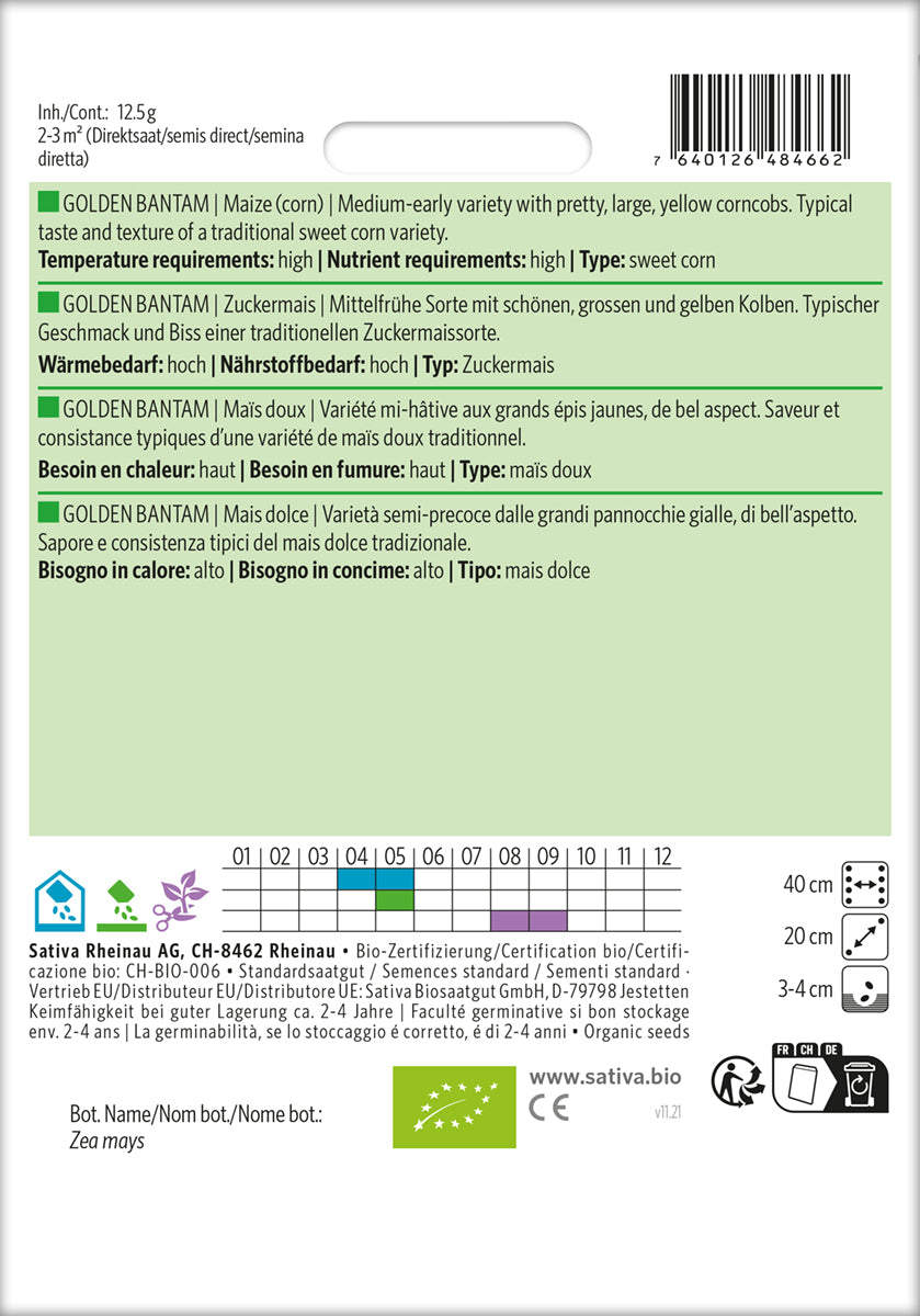 Artikelbild 2 von "BIO Zuckermais Golden Bantam" aus der Kategorie Maissamen