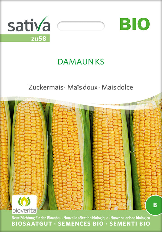 Artikelbild 1 von "BIO Zuckermais Damaun Ks" aus der Kategorie Maissamen