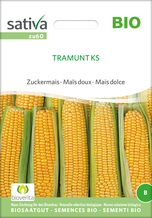 Artikelbild 1 von "BIO Zuckermais Tramunt Ks" aus der Kategorie Maissamen