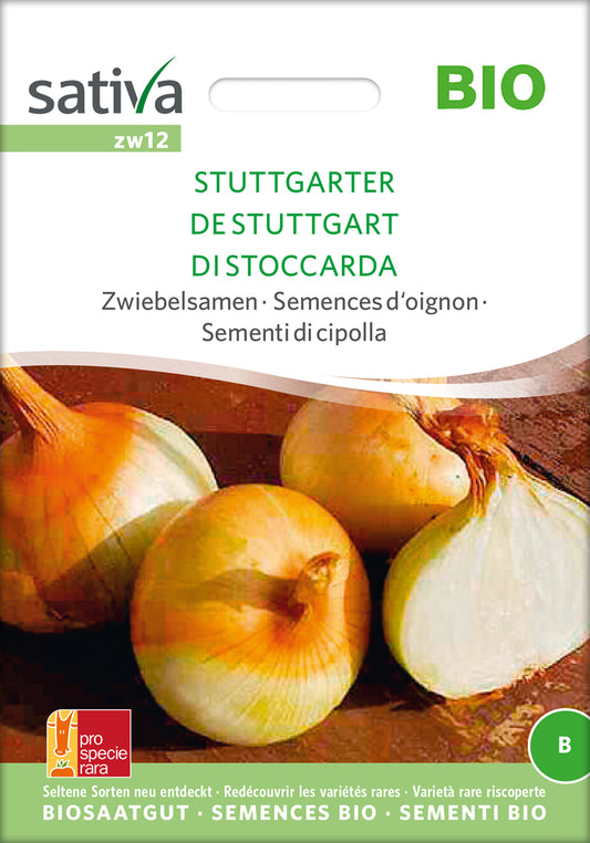 Artikelbild 1 von "BIO Zwiebelsamen Stuttgarter" aus der Kategorie Zwiebelsamen