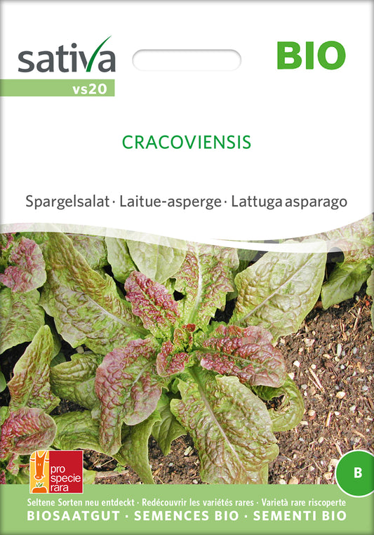 Artikelbild 1 von "BIO Spargelsalat Cracoviensis" aus der Kategorie Salatsamen