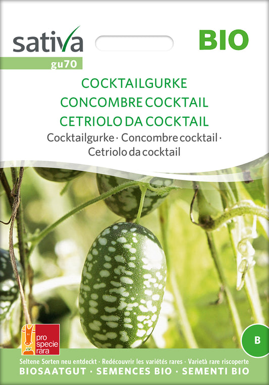 Artikelbild 1 von "BIO Cocktailgurke" aus der Kategorie Minigurkensamen