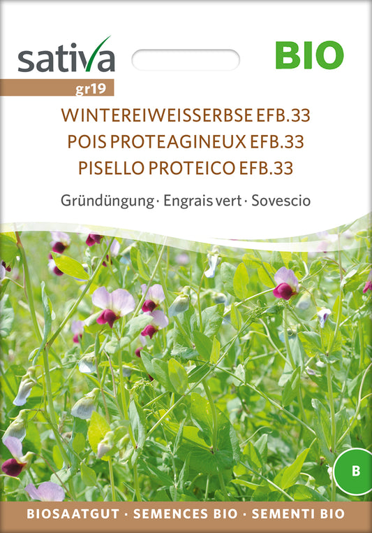 Artikelbild 1 von "BIO Gründüngung Wintereiweisserbse" aus der Kategorie Gründünger & -düngung