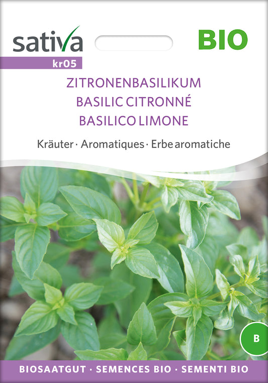 Artikelbild 1 von "BIO Zitronenbasilikum" aus der Kategorie Basilikumsamen