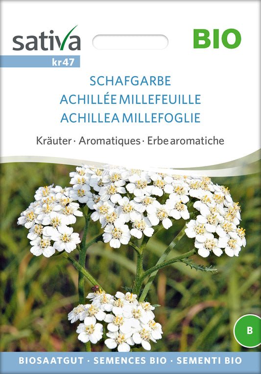 Artikelbild 1 von "BIO Schafgarbe" aus der Kategorie Schafgarbensamen