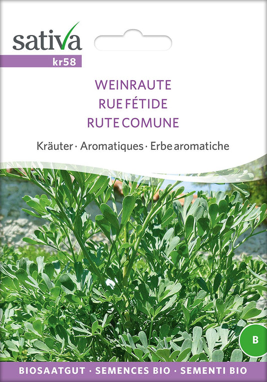 Artikelbild 1 von "Bio-Weinraute" aus der Kategorie Gemüsesamen