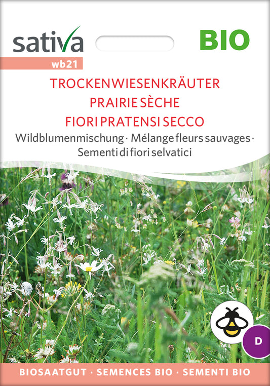 Artikelbild 1 von "BIO Wildblumenmischung Trockenwiesenkräuter" aus der Kategorie Wildblumensamen