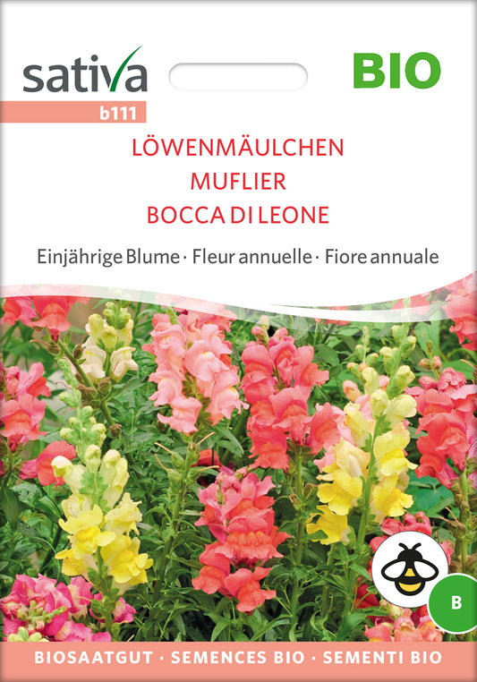 Artikelbild 1 von "BIO Löwenmäulchen" aus der Kategorie Löwenmaulsamen
