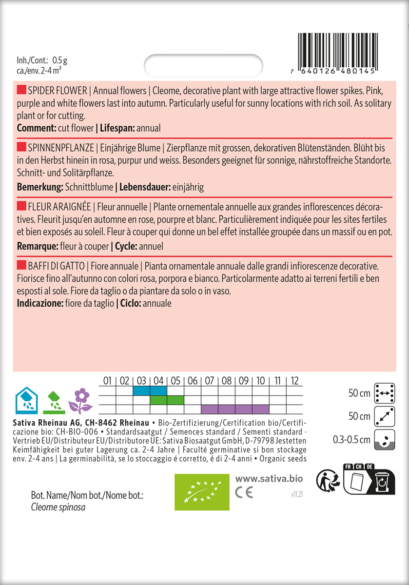 Artikelbild 2 von "BIO Spinnenpflanze" aus der Kategorie Spinnenblumensamen