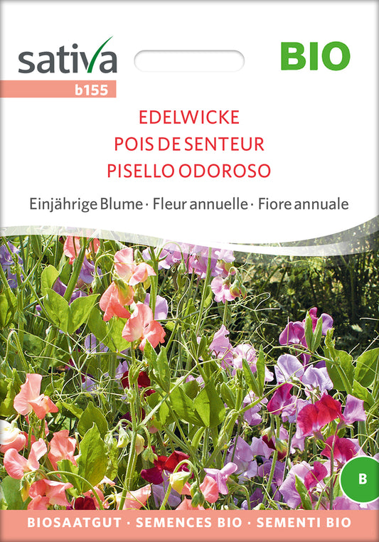 Artikelbild 1 von "BIO Edelwicke" aus der Kategorie Wickensamen