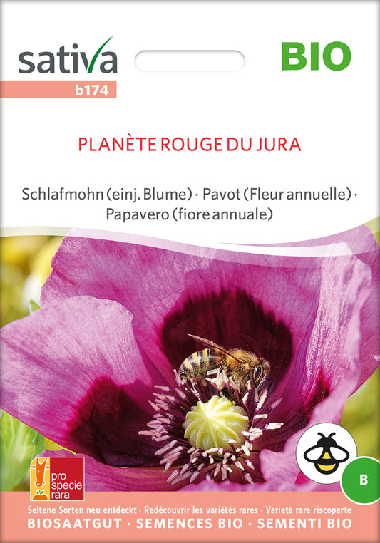 Artikelbild 1 von "BIO Schlafmohn Planète Rouge Du Jura" aus der Kategorie Mohnsamen