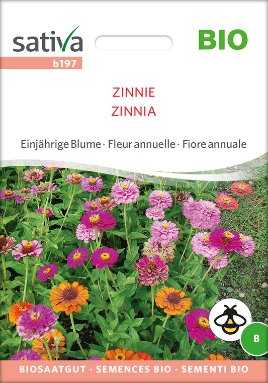 Artikelbild 1 von "BIO Zinnie" aus der Kategorie Zinniensamen