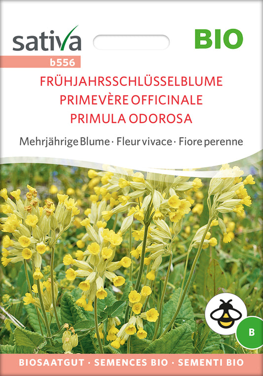 Artikelbild 1 von "BIO Frühjahrsschlüsselblume" aus der Kategorie Schlüsselblumensamen