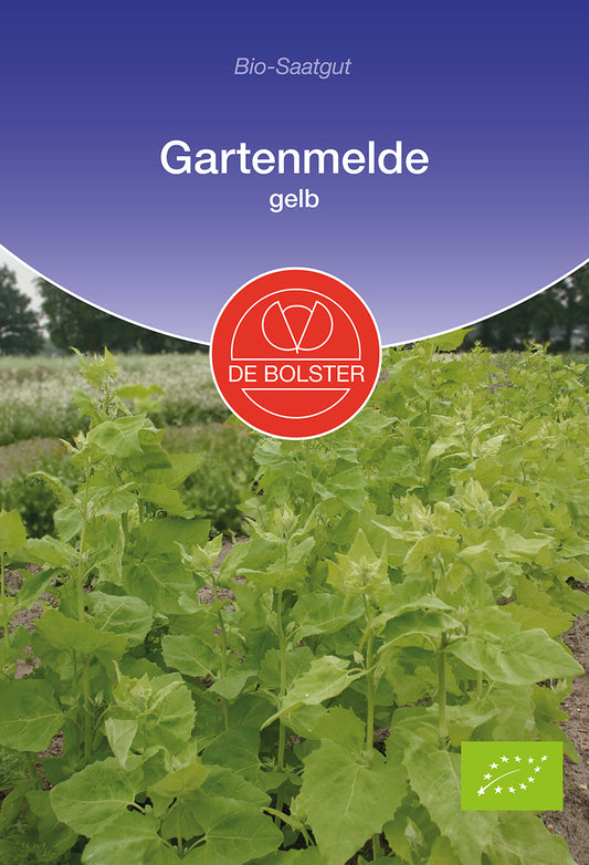 Artikelbild 1 von "BIO Gartenmelde gelb" aus der Kategorie Spinatsamen