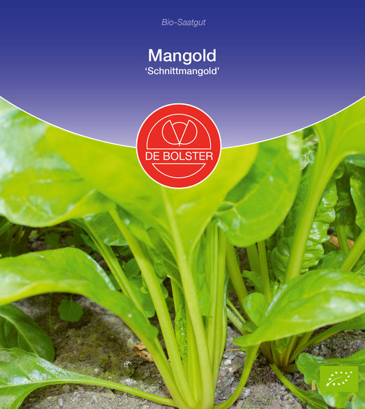 Artikelbild 1 von "BIO Schnittmangold" aus der Kategorie Mangoldsamen