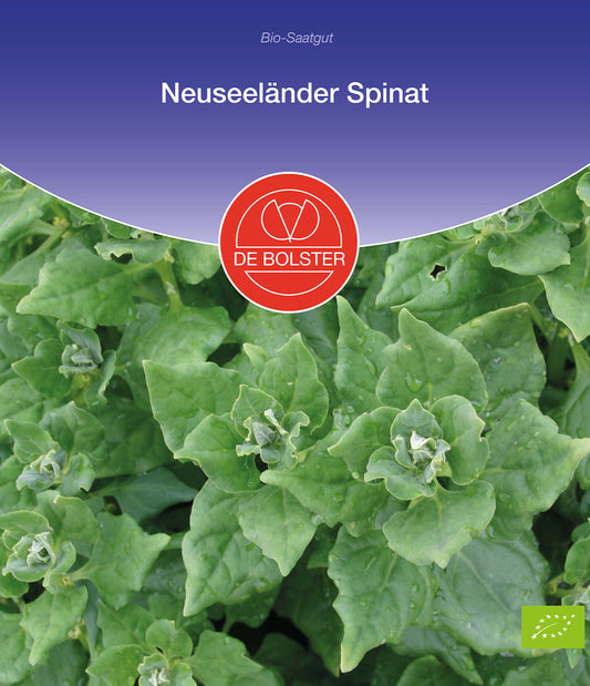 Artikelbild 1 von "BIO Neuseeländer Spinat" aus der Kategorie Spinatsamen
