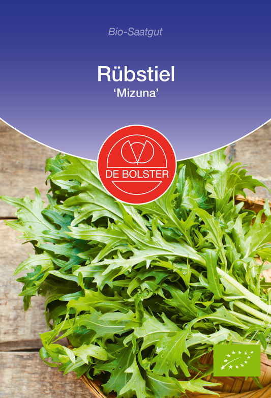 Artikelbild 1 von "BIO Rübstiel Mizuna" aus der Kategorie Rübensamen