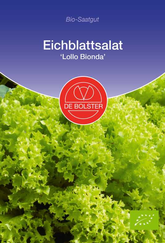 Artikelbild 1 von "BIO Eichblattsalat Lollo Bionda" aus der Kategorie Eichblattsalatsamen