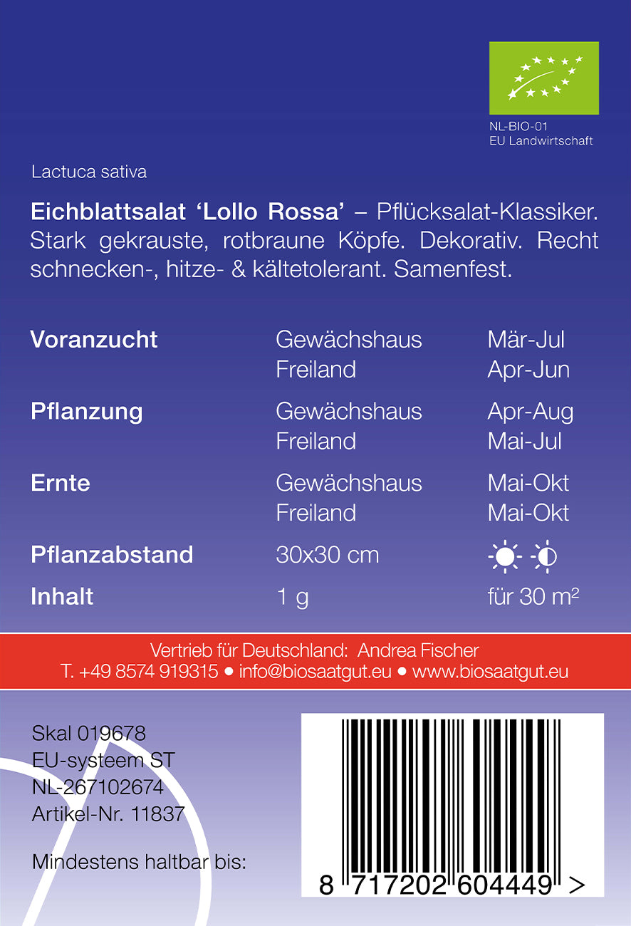 Artikelbild 2 von "Eichblattsalat Lollo Rossa" aus der Kategorie Salatsamen