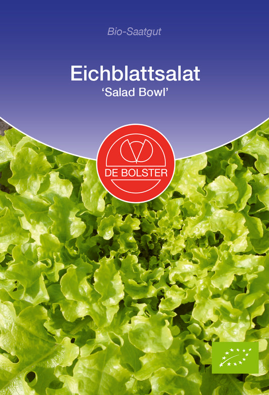Artikelbild 1 von "BIO Eichblattsalat Salad Bowl" aus der Kategorie Salatsamen
