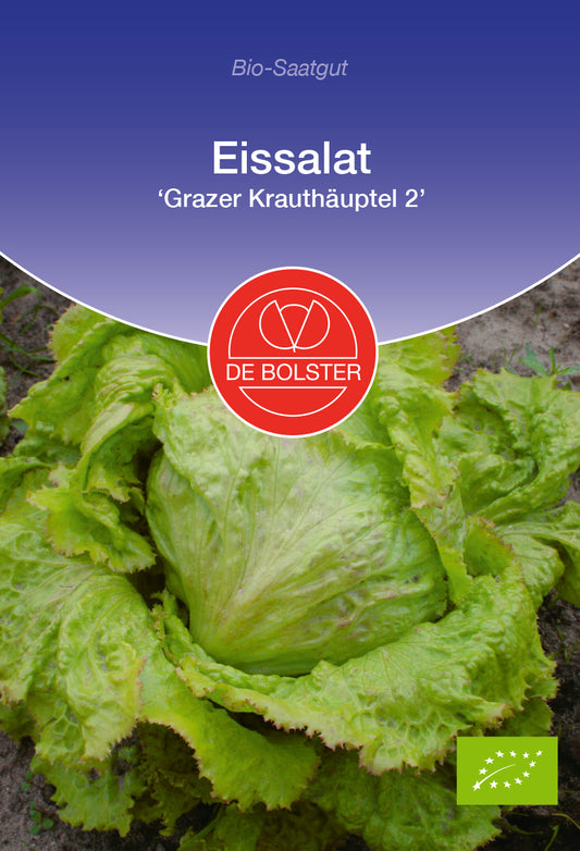 Artikelbild 1 von "BIO Eissalat Grazer Krauthäuptel 2" aus der Kategorie Eissalatsamen