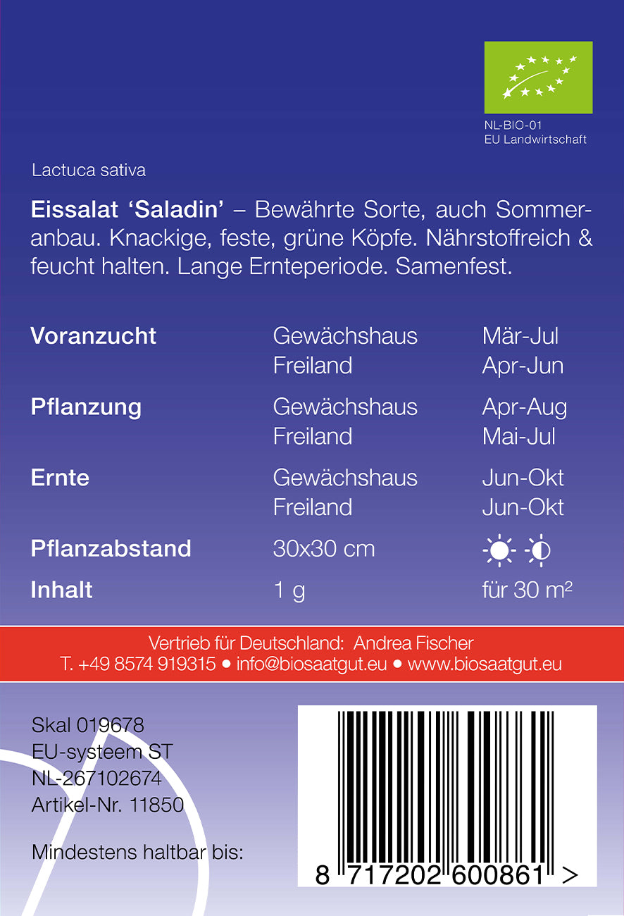 Artikelbild 2 von "BIO Eissalat Saladin" aus der Kategorie Eissalatsamen