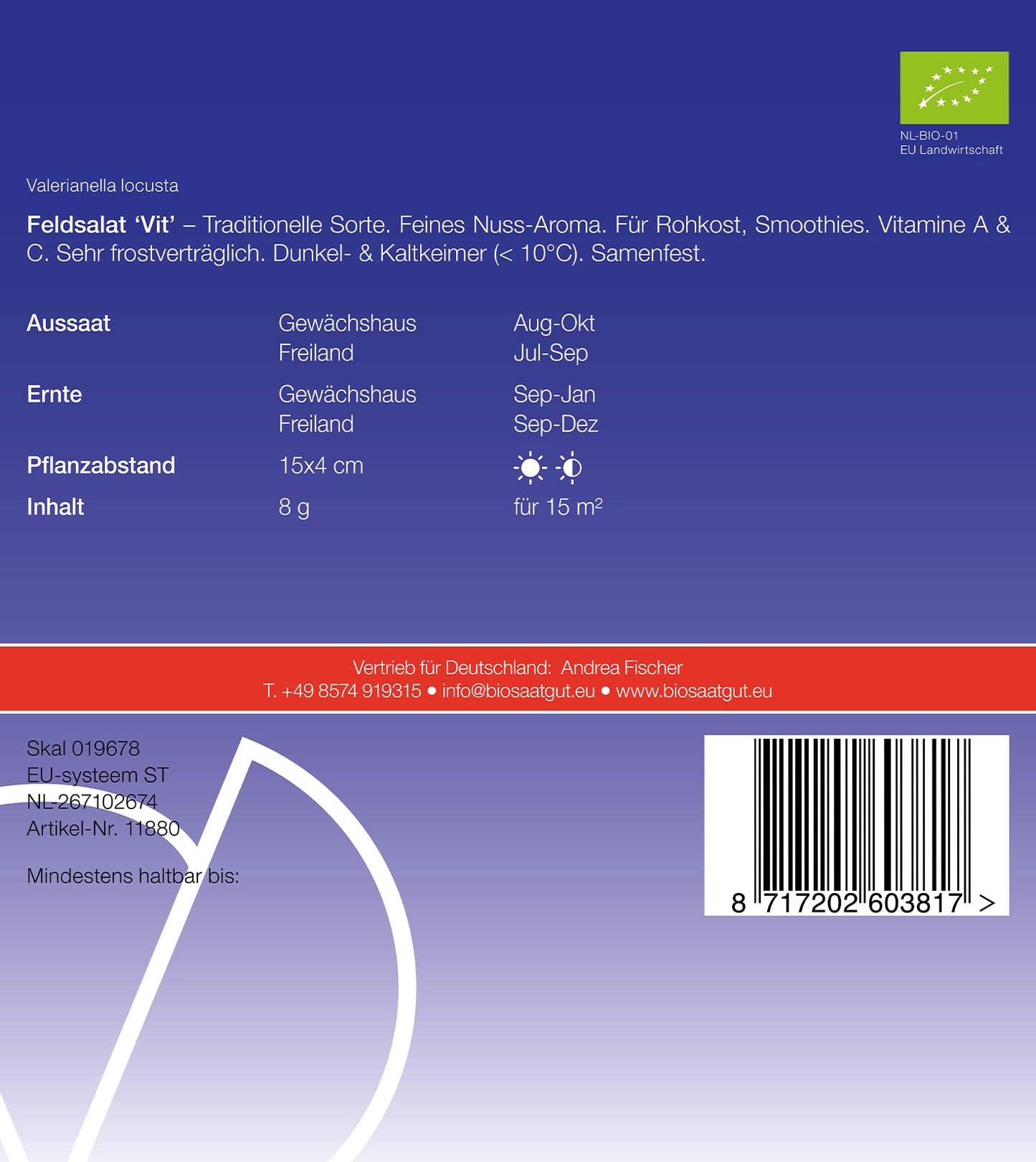 Artikelbild 2 von "BIO Feldsalat Vit" aus der Kategorie Feldsalatsamen