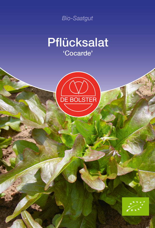Artikelbild 1 von "BIO Pflücksalat Cocarde" aus der Kategorie Salatsamen