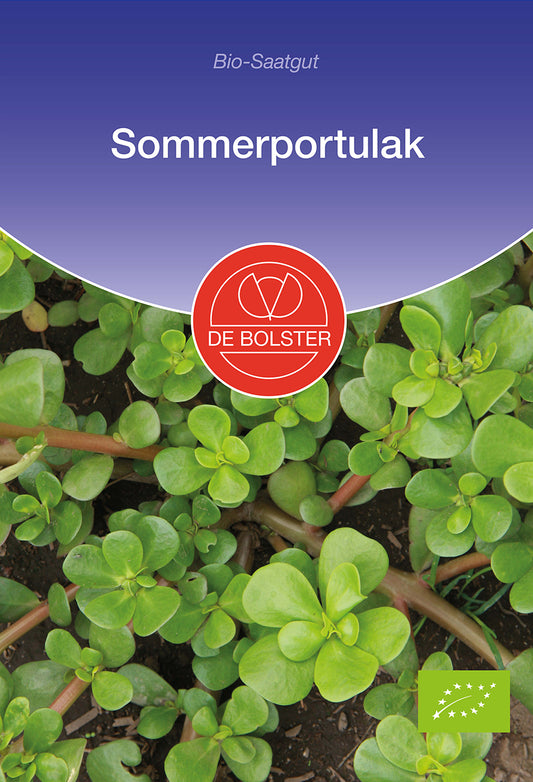 Artikelbild 1 von "Sommerportulak Wildsalat" aus der Kategorie Portulaksamen