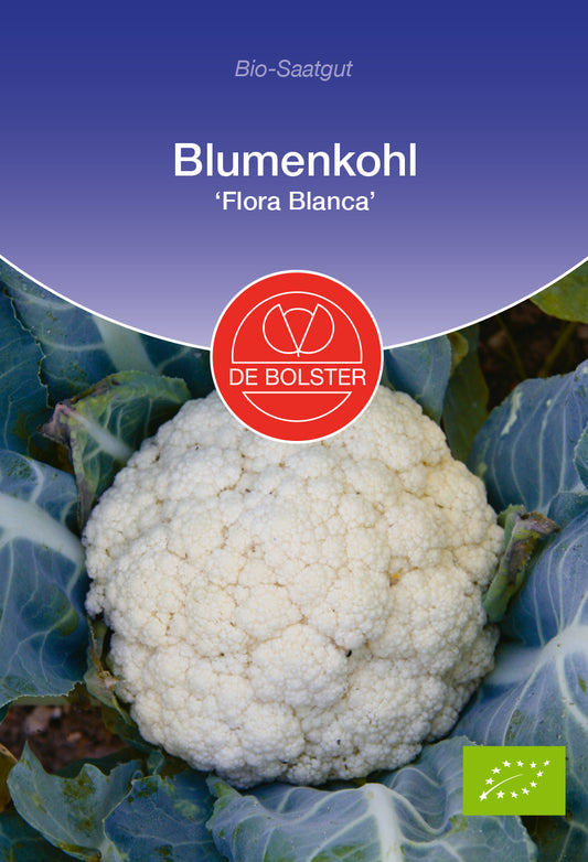 Artikelbild 1 von "BIO Blumenkohl Flora Blanca" aus der Kategorie Blumenkohlsamen
