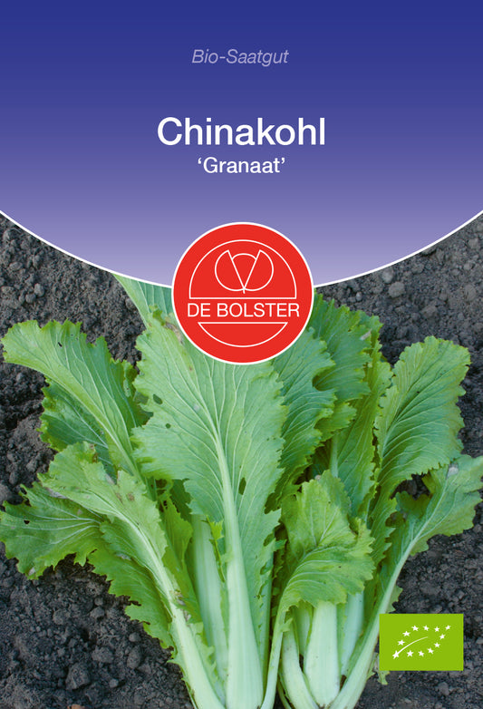 Artikelbild 1 von "BIO Chinakohl Granaat" aus der Kategorie Chinakohlsamen