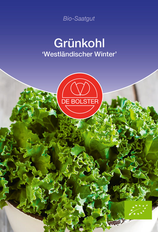 Artikelbild 1 von "BIO Grünkohl Westländischer Winter" aus der Kategorie Grünkohlsamen