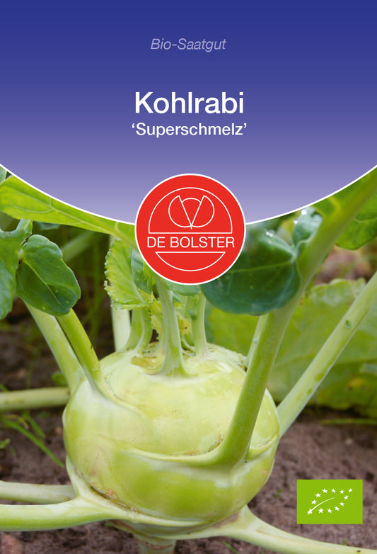 Artikelbild 1 von "BIO Kohlrabi Superschmelz" aus der Kategorie Kohlrabisamen