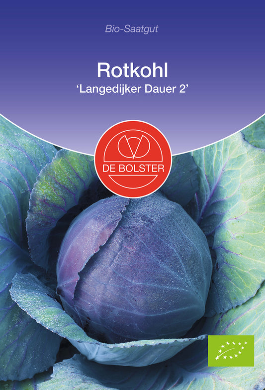 Artikelbild 1 von "BIO Rotkohl Langedijker Dauer 2" aus der Kategorie Rotkohlsamen