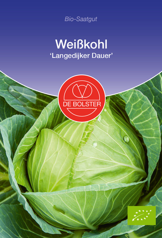 Artikelbild 1 von "BIO Weißkohl Langedijker Dauer" aus der Kategorie Weißkohlsamen