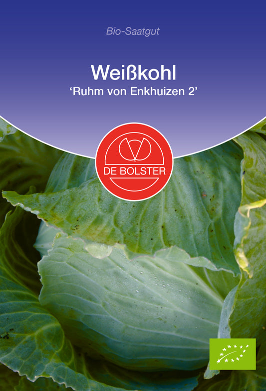 Artikelbild 1 von "BIO Weißkohl Ruhm von Enkhuizen 2" aus der Kategorie Weißkohlsamen