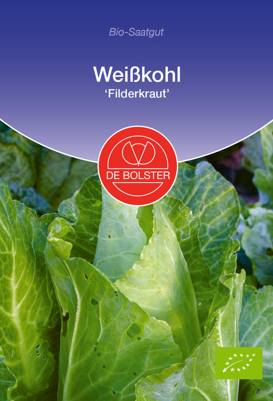 Artikelbild 1 von "BIO Weißkohl Filderkraut" aus der Kategorie Weißkohlsamen