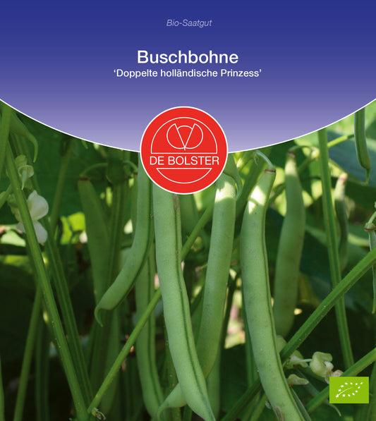 Artikelbild 1 von "BIO Buschbohne Doppelte holländische Prinzess" aus der Kategorie Buschbohnensamen