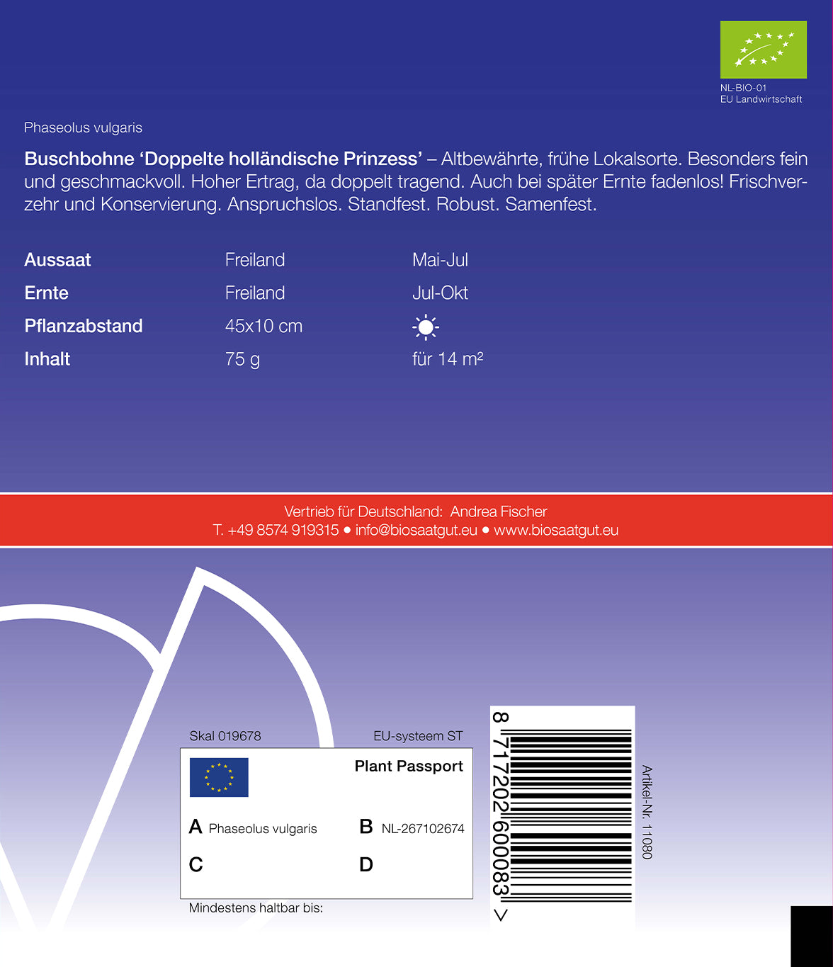 Artikelbild 2 von "BIO Buschbohne Doppelte holländische Prinzess" aus der Kategorie Buschbohnensamen