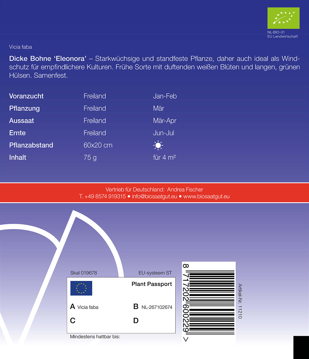 Artikelbild 2 von "BIO Dicke Bohne Eleonora" aus der Kategorie Puffbohnensamen