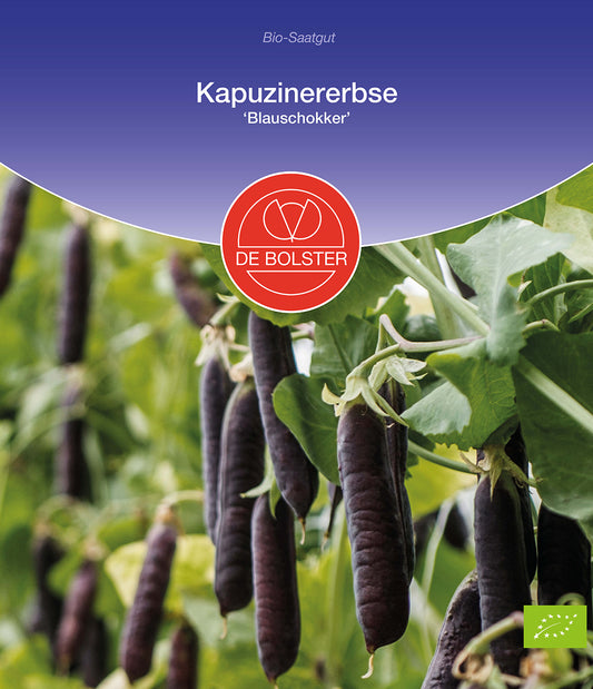Artikelbild 1 von "BIO Kapuzinererbse Blauschokker" aus der Kategorie Erbsensamen