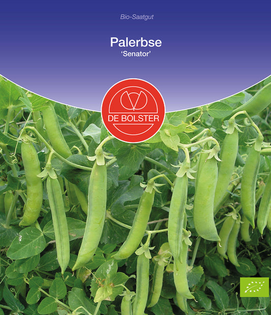Artikelbild 1 von "BIO Palerbse Senator" aus der Kategorie Erbsensamen