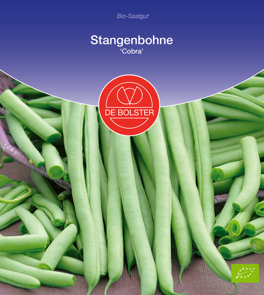 Artikelbild 1 von "BIO Stangenbohne Cobra" aus der Kategorie Stangenbohnensamen