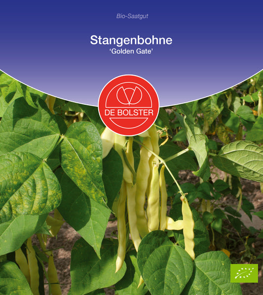 Artikelbild 1 von "BIO Stangenbohne Golden Gate" aus der Kategorie Stangenbohnensamen