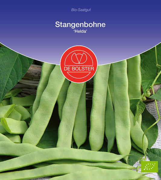 Artikelbild 1 von "BIO Stangenbohne Helda" aus der Kategorie Stangenbohnensamen