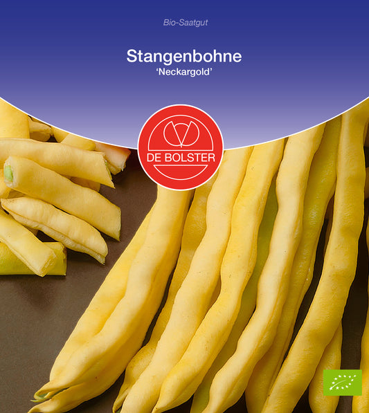 Artikelbild 1 von "BIO Stangenbohne Neckargold" aus der Kategorie Stangenbohnensamen